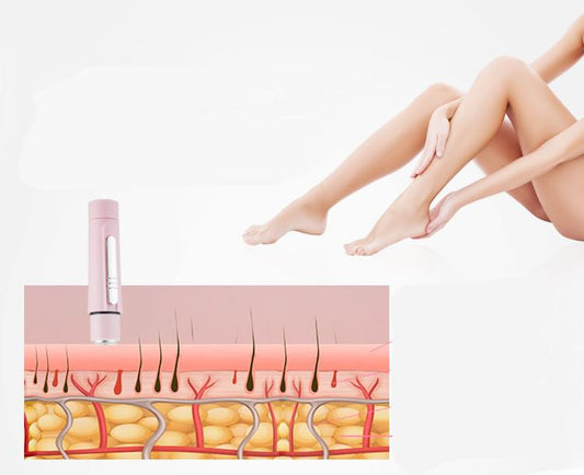 Illustration of legs with a close-up of skin layers and hair follicles on a white background.