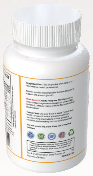 Gallbladder Support Plus