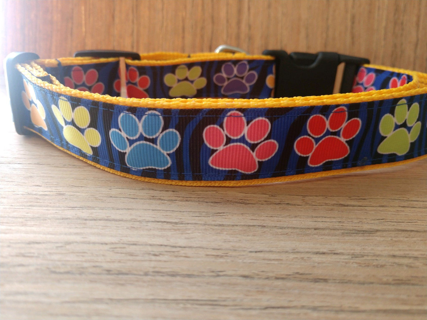 Leash/ Large/ Colorful Paw Prints