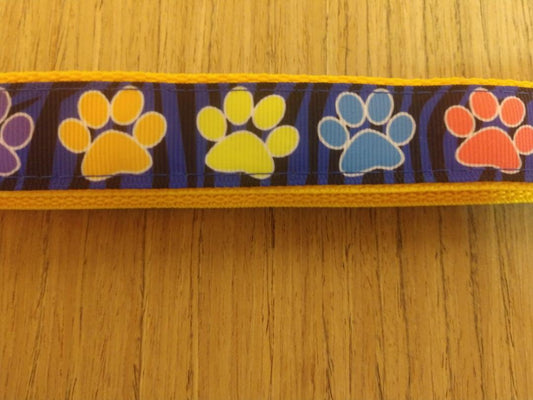 Leash/ Large/ Colorful Paw Prints