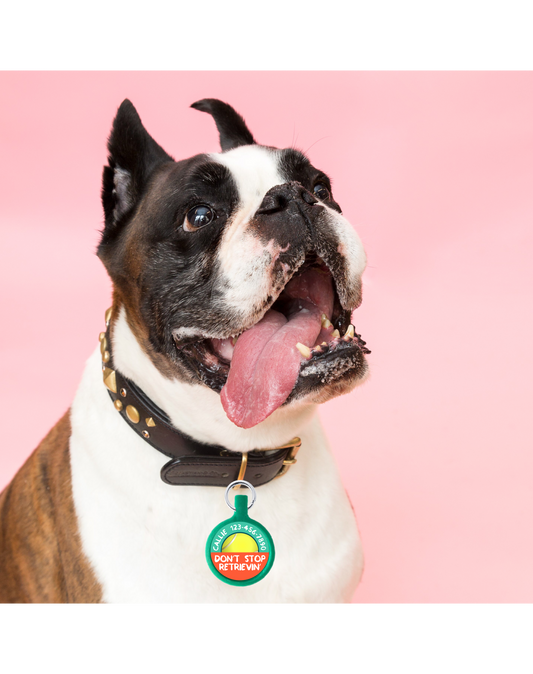 Retrievin’ Ecoplastic Pet ID Tag- Choose from many colors.