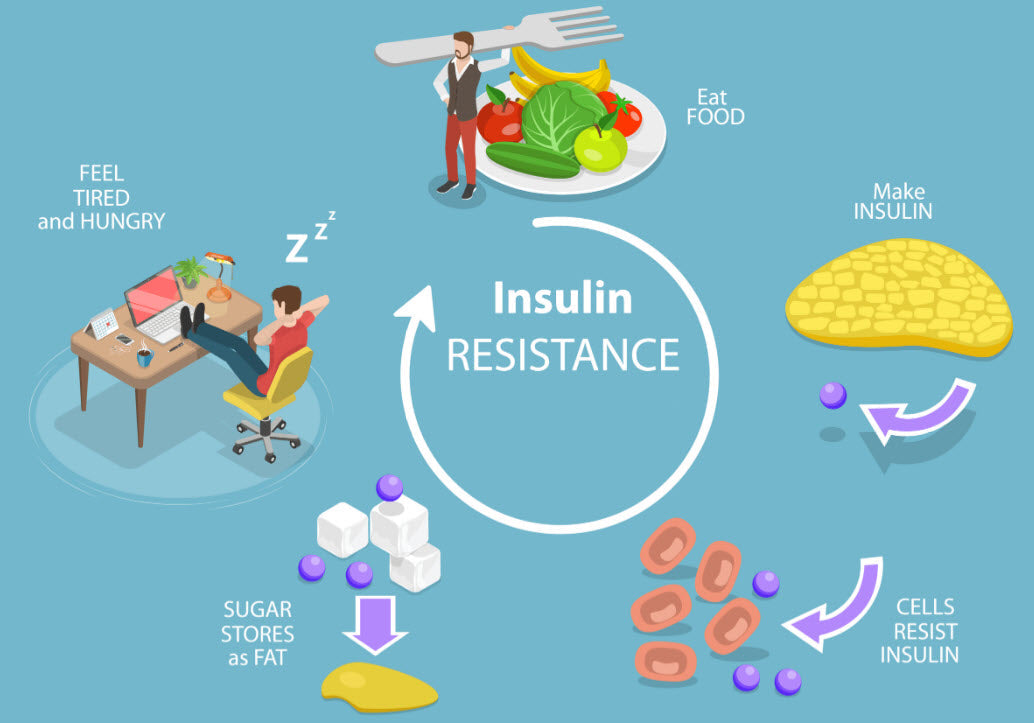 insulin sensitivity to weight gain