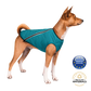 Sustainable Eco-Friendly Dog Jacket / Vest - Made in Ukraine