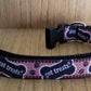 Collar/ Small/ Got Treats?