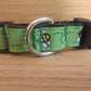 Leash/ Large/ Bees