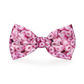 Pink Cheerios Dog Bow Tie