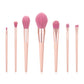 12pcs Nude Pink Makeup Brushes Kit Beauty Make Up Tool Loose Powder