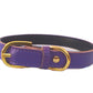 Plain Chelsea Dog Collars (4 sizes) 8-16"