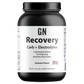 Recovery Carb + Electrolyte Summer Punch 1365g