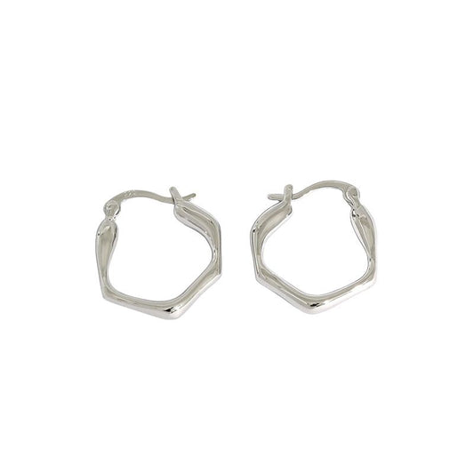 Fashion Irregular Geometry 925 Sterling Silver Hoop Earrings