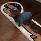 Cute Whimsical Ultra Soft Dachshunt Runner Rug