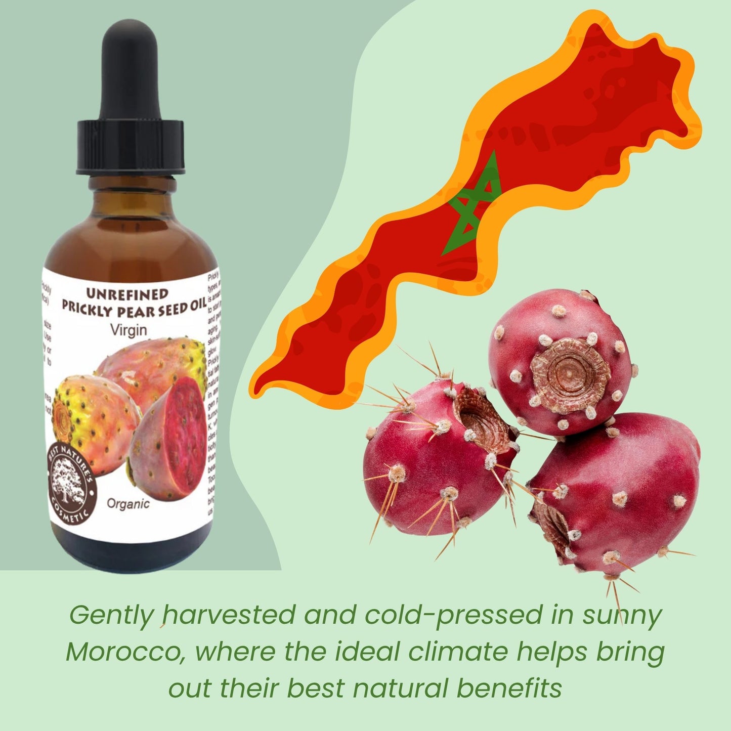 Prickly Pear Seed Oil (Organic, cold pressed, unrefined)