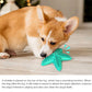 Fast Shipping 3 Pack Squeaky Toothbrush & Cotton Rope Ball Dog Toys