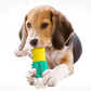 Summer Cooling Cleaning Care Teeth Pet Chewing Supplies