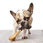 Cow Ears for Dogs