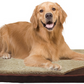 Rectangle bed with Cushion with Pillow Washable